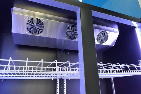 Poids KG 95-160kg Refroidisseur de vitrine en verre à double porte et système de refroidissement à air