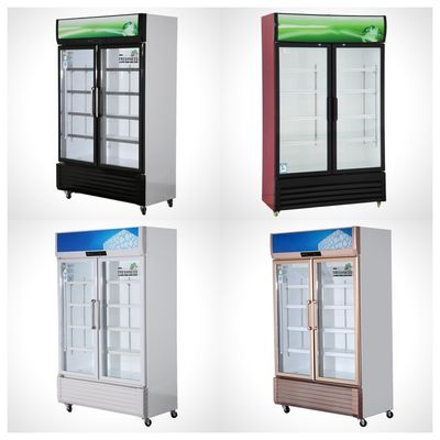 220V-240V/50HZ 60HZ 110V/60HZ refroidisseur d'écran 2 portes magasin de boissons réfrigérateur réfrigérateur