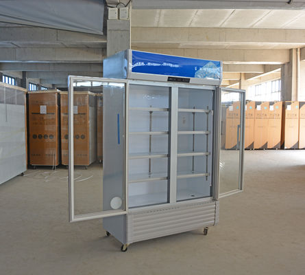 220V-240V/50HZ 60HZ 110V/60HZ refroidisseur d'écran 2 portes magasin de boissons réfrigérateur réfrigérateur