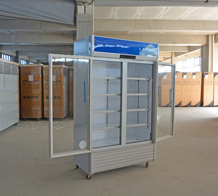 110V/60HZ Voltage boîtier d'affichage pour boissons réfrigérées commerciales avec réfrigérant R290a
