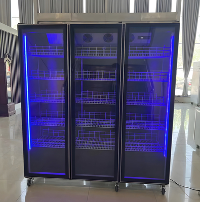 Réfrigérateur d'affichage de vin à capacité unique ou personnalisé avec éclairage LED