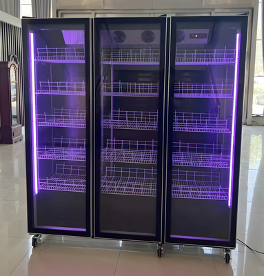 Réfrigérateur d'affichage de vin à capacité unique ou personnalisé avec éclairage LED