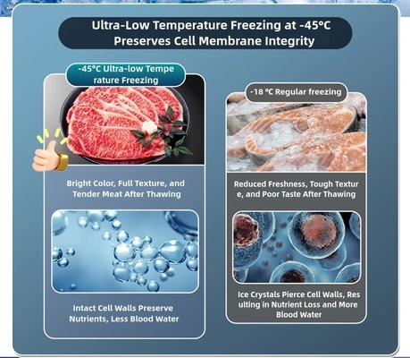 8.5-10cm couche mousseuse réfrigérateur à coffre ultra-faible pour une grande capacité -60°C