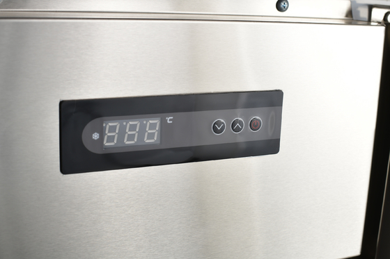 Réfrigérateur commercial à double température de 250 litres pour cuisine de restaurant